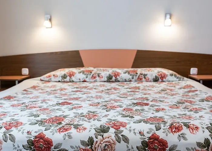 Ivana Palace - Free Parking