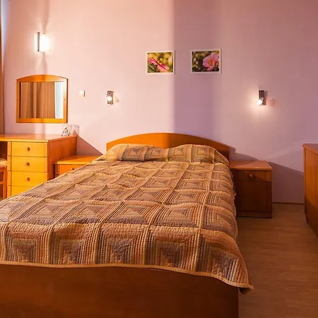 Ivana Palace - Free Parking Отель 4*