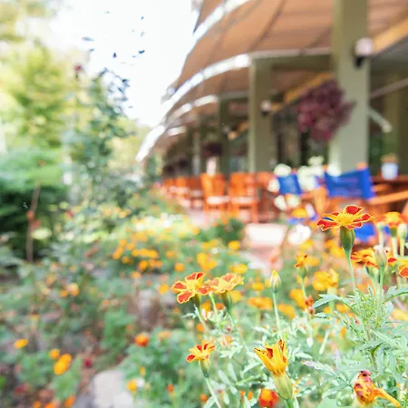 Ivana Palace - Free Parking Отель 4*