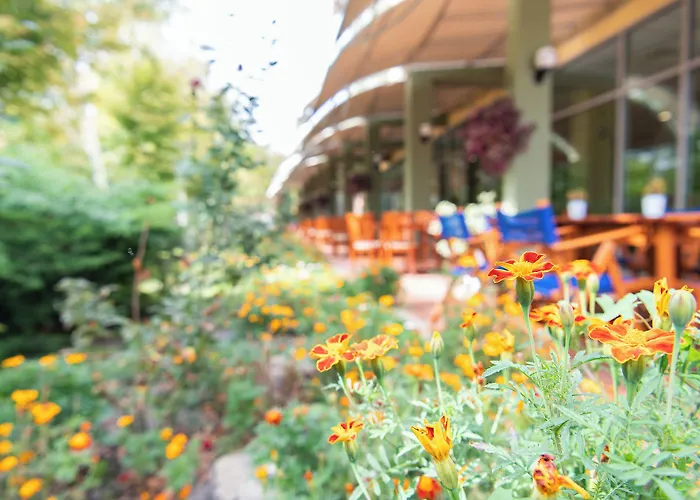 Ivana Palace - Free Parking Szálloda 4*