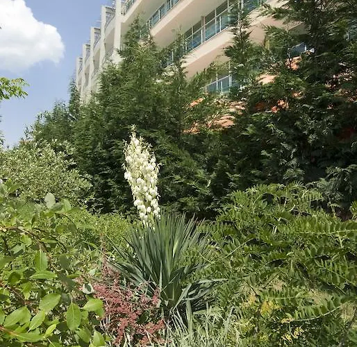 Ivana Palace - Free Parking Napospart