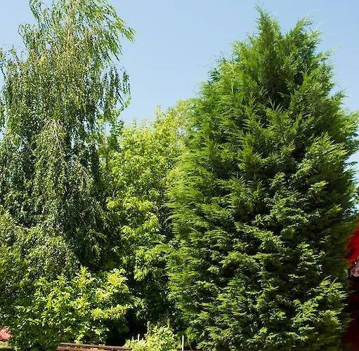 Ivana Palace - Free Parking